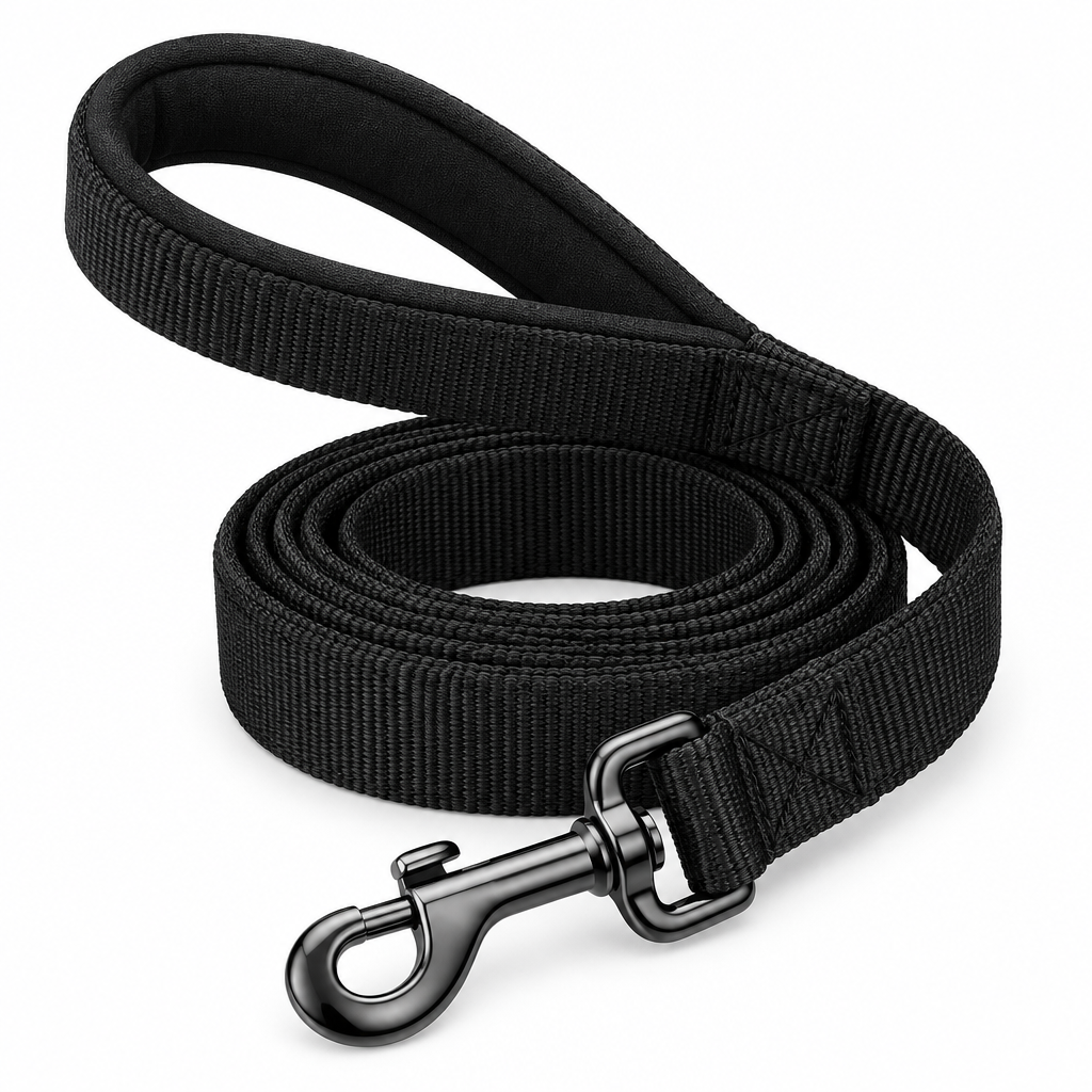 Black padded handle dog leash coiled view