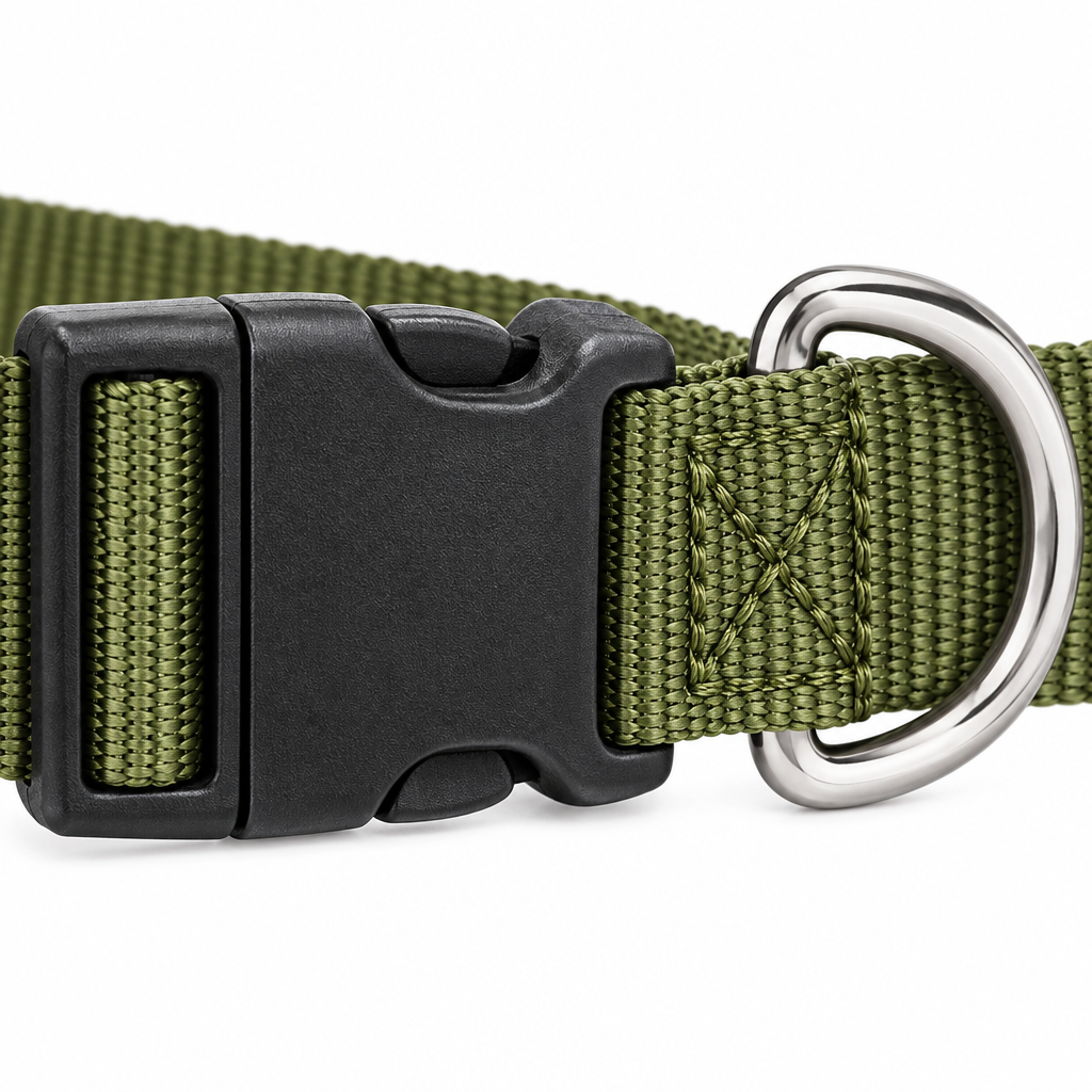 Adjustable dog collar buckle and D-ring close-up detail