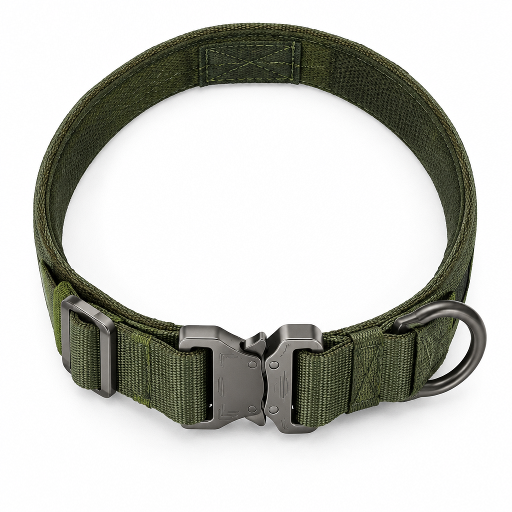 Tactical dog collar olive green top down overhead view