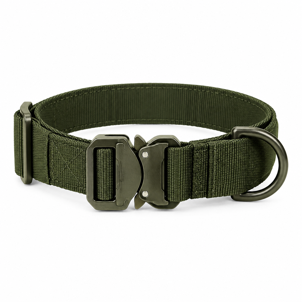 Tactical dog collar olive green front flat lay view