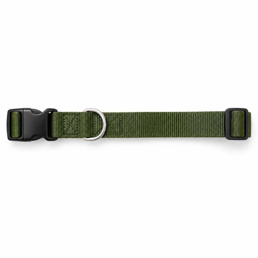Adjustable dog collar olive green top-down overhead view