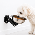 Wall-mounted pet bowl lifestyle view