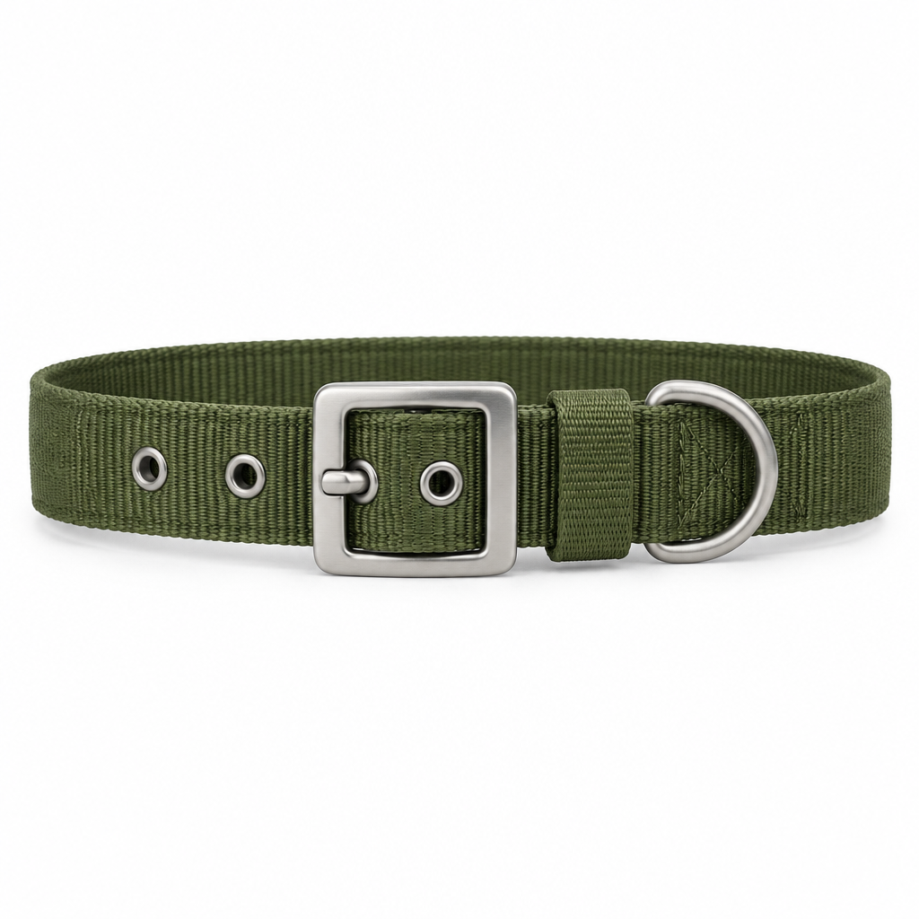 Adjustable dog collar olive green flat lay front view