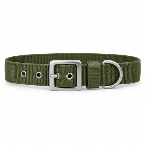 Adjustable dog collar olive green flat lay front view