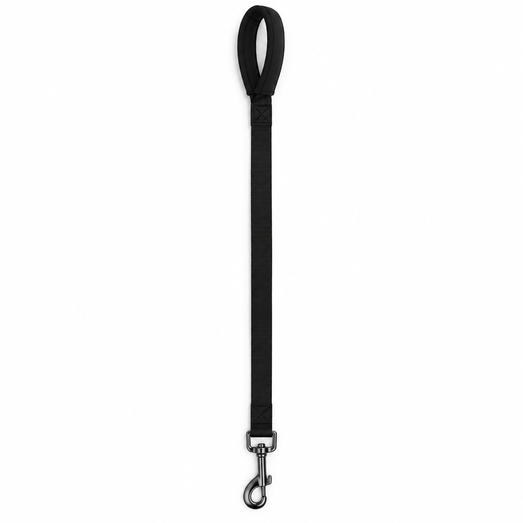 Black padded handle dog leash full length flat lay